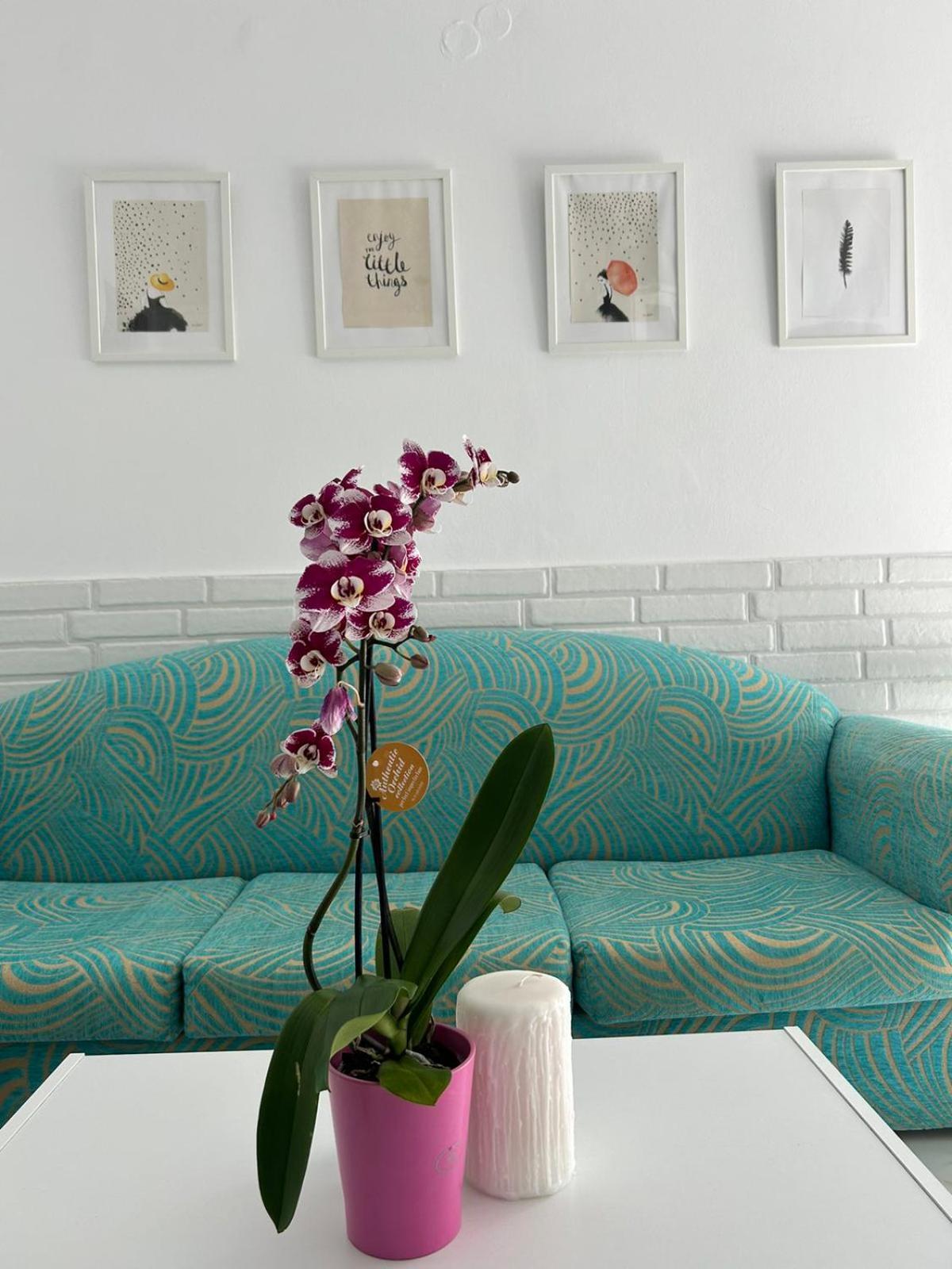 Maria'S Apartments Pigí المظهر الخارجي الصورة